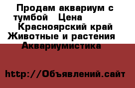 Продам аквариум с тумбой › Цена ­ 7 500 - Красноярский край Животные и растения » Аквариумистика   